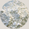 /msite/products/detail/productid/57444036/id/542200.html